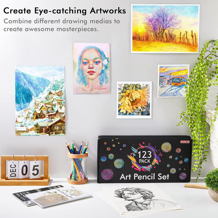 Art Pencil Set - 123 Piece