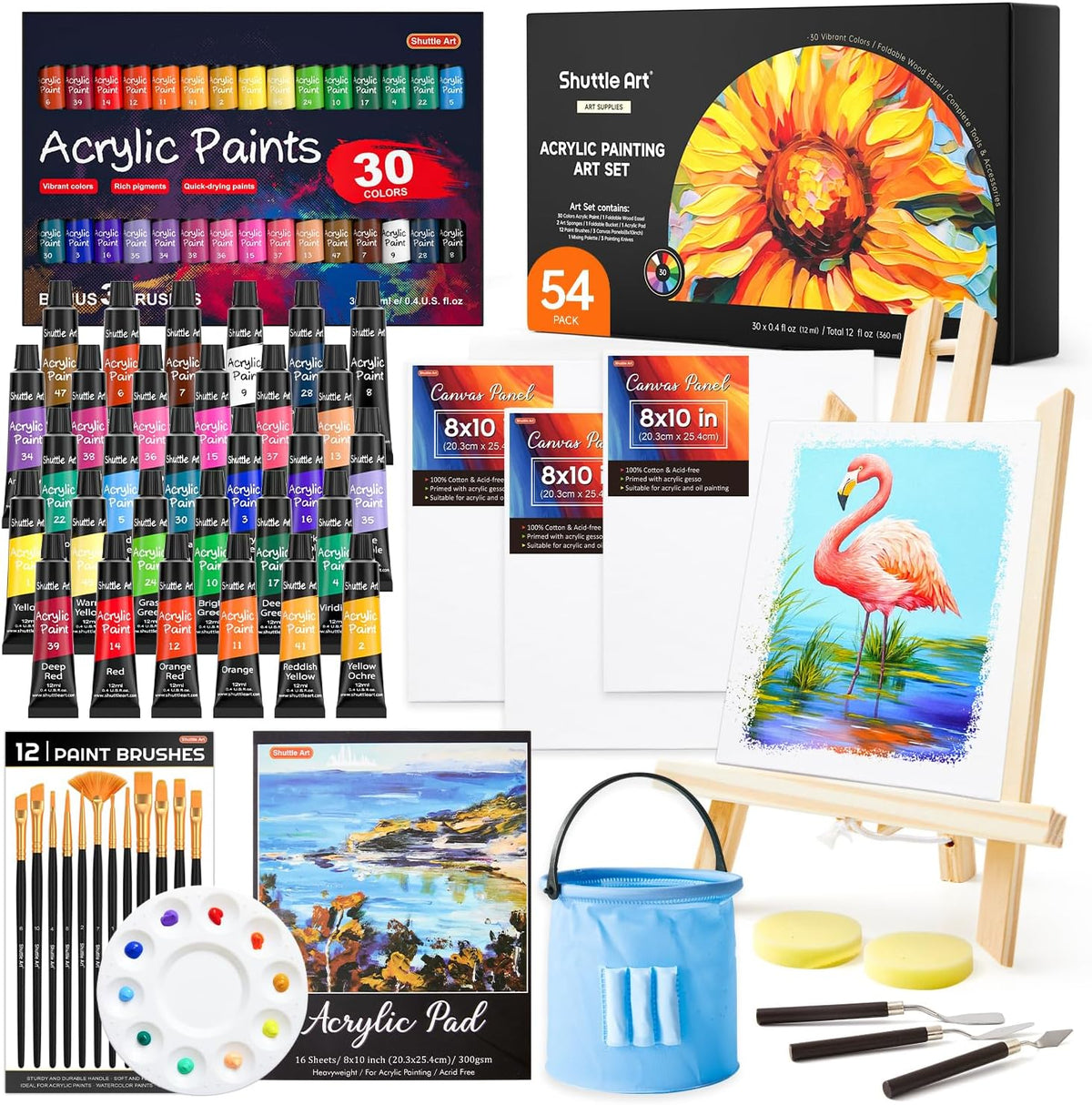 Acrylic Painting Set - 54 Pack — Shuttle Art