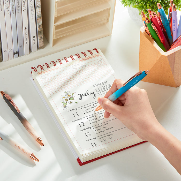 Ballpoint Pens, Retractable Black Ink Ball Point Pens - Set of 12 Pack Colored  Cute Pens, 1.0mm